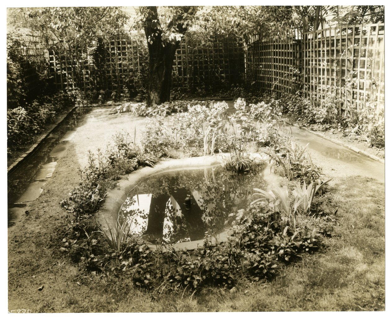 Garden of Mrs W H Wells 265 W 11th, Greenwich Village, New York, USA, 1936-37 körül (zselatin ezüst fotó) alkotó: Jessie Tarbox Beals