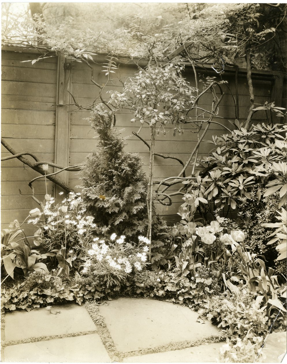 Mr & Mrs John Morgan, 39 W 11 St, Greenwich Village, New York, USA, 1939-40 körül (zselatin ezüst fotó) alkotó: Jessie Tarbox Beals
