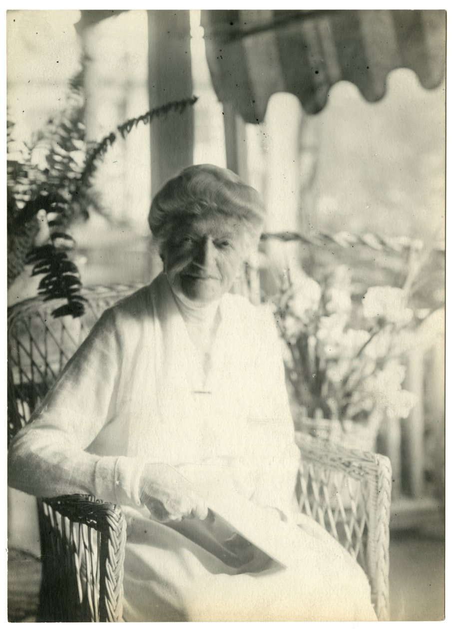 Mrs. L D James Williamsburg Massachusettsből, Marshall Field nővére, 1905-28 körül (zselatin ezüst fotó) alkotó: Jessie Tarbox Beals