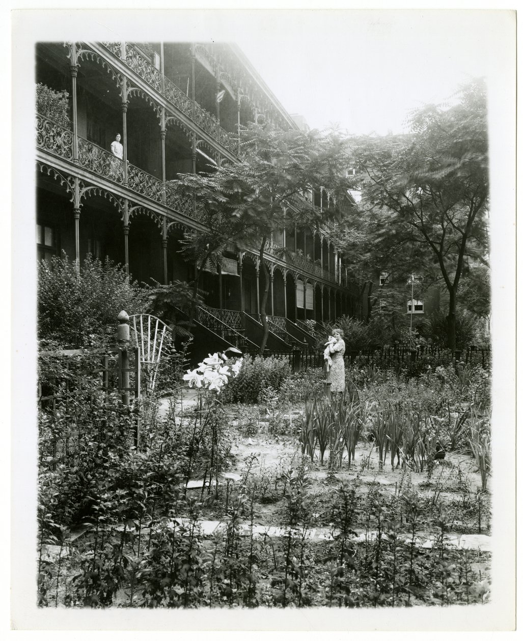 Rhinelander House gardens, W 11th St, Greenwich Village, New York, USA, 1905-38 körül (zselatin ezüst fotó) alkotó: Jessie Tarbox Beals