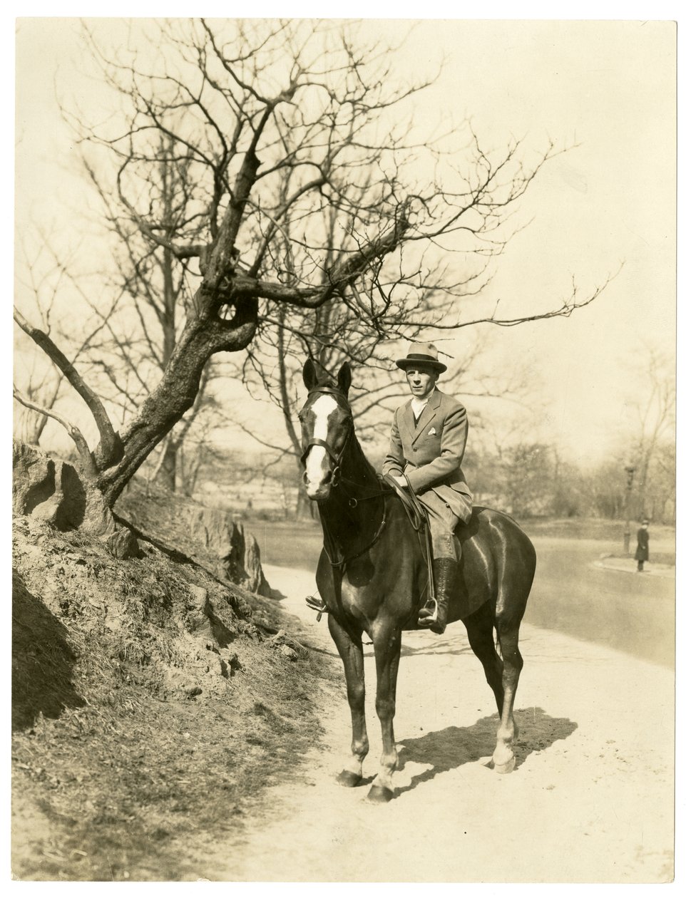 Roland Young, 1905-27 körül (zselatin ezüst fotó) alkotó: Jessie Tarbox Beals