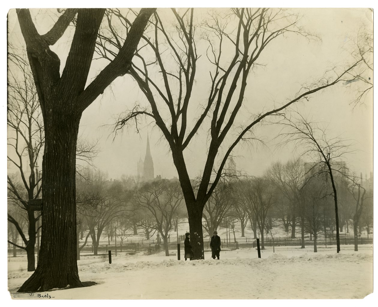The Common, Boston, USA, 1902-1910 körül (zselatin ezüst fotó) alkotó: Jessie Tarbox Beals