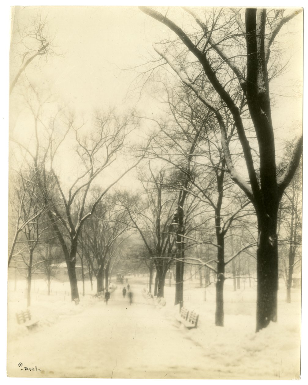 The Common, Boston, USA, 1902-1910 körül (zselatin ezüst fotó) alkotó: Jessie Tarbox Beals