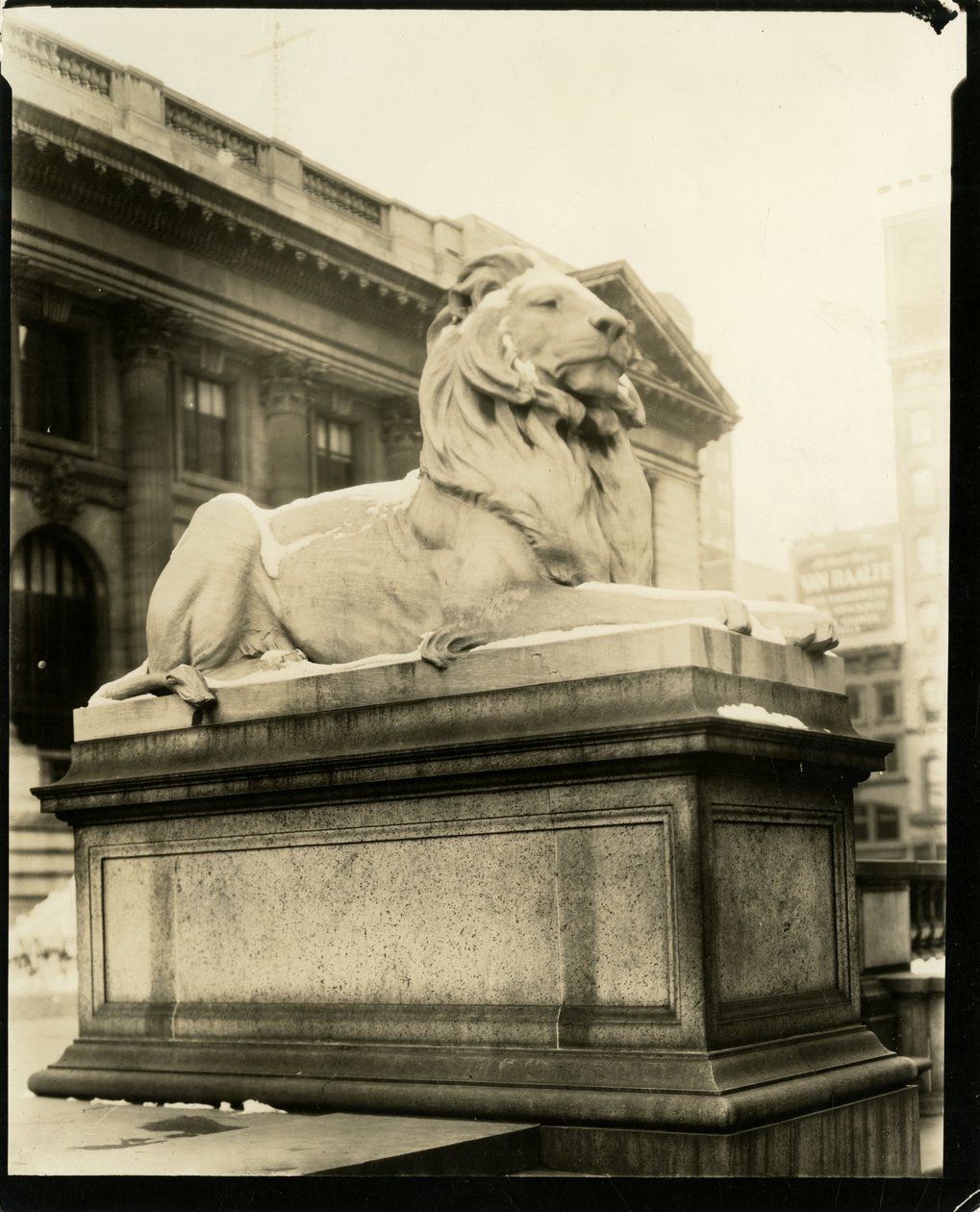 A gőgös oroszlán a könyvtár előtt Megérti Gertrude Steinisht, New York, USA, 1905-40 körül (zselatin ezüst fotó) alkotó: Jessie Tarbox Beals