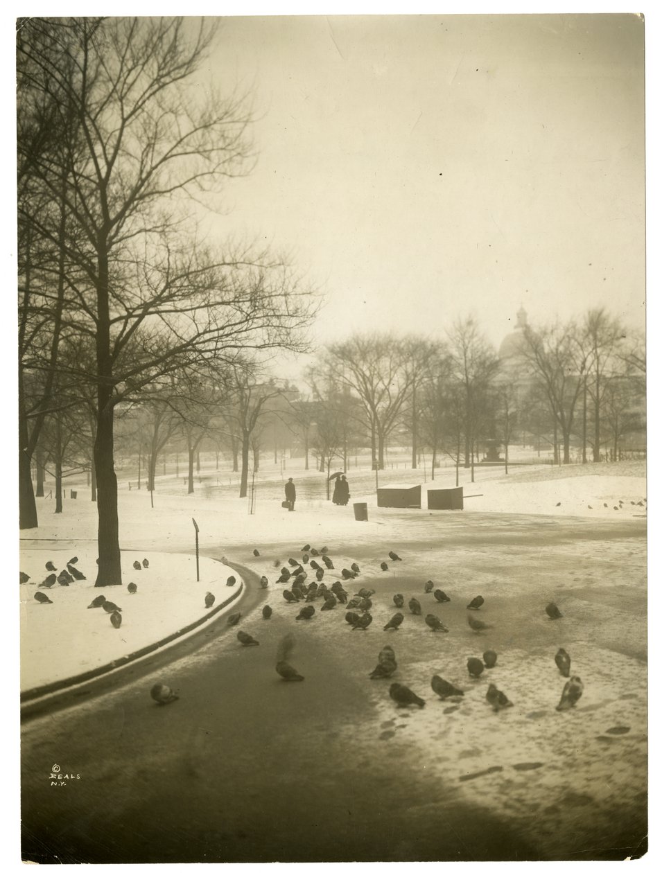 Nem mindennapi hideg a Commonben, Boston, USA, 1902-1910 körül (zselatin ezüst fotó) alkotó: Jessie Tarbox Beals