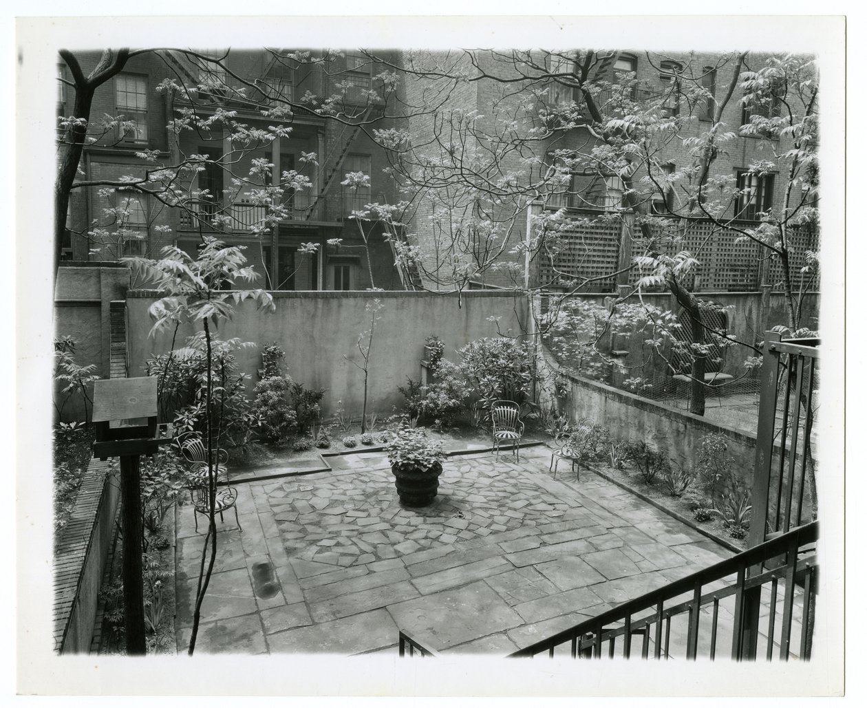 hátsó terasz madárházzal, New York, USA, 1905-40 körül (zselatin ezüst fotó) alkotó: Jessie Tarbox Beals