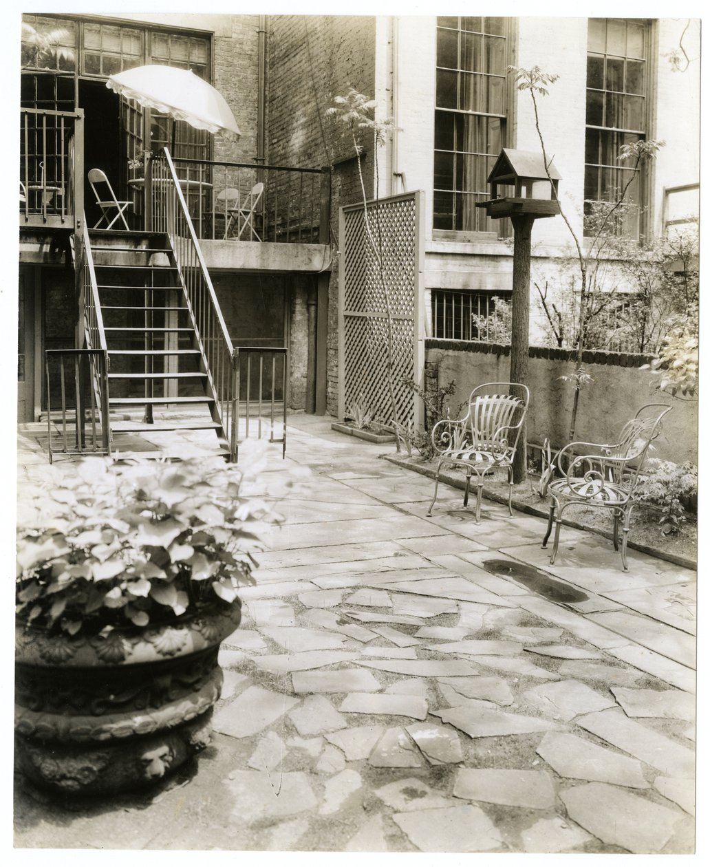 hátsó udvari terasz madárházzal, New York, USA, 1905-40 körül (zselatin ezüst fotó) alkotó: Jessie Tarbox Beals