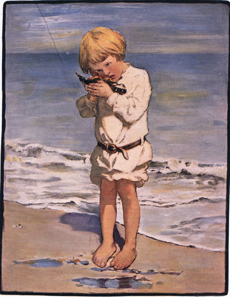 A Billy fiúk felfedezése egy sirály volt, sérült szárnyú (színes litho) alkotó: Jessie Willcox Smith