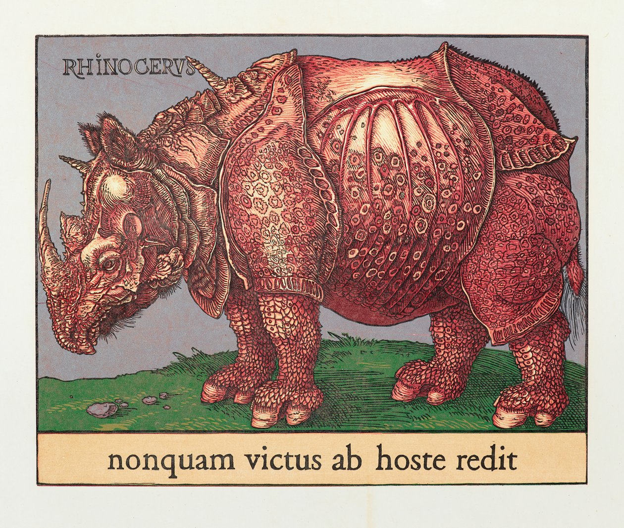 Vörös orrszarvú, 2007 (fametszet) alkotó: Jim Monson