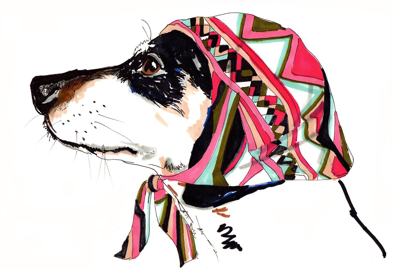 Pooch In Pucci, 2012 (toll és tinta papíron) alkotó: Jo Chambers