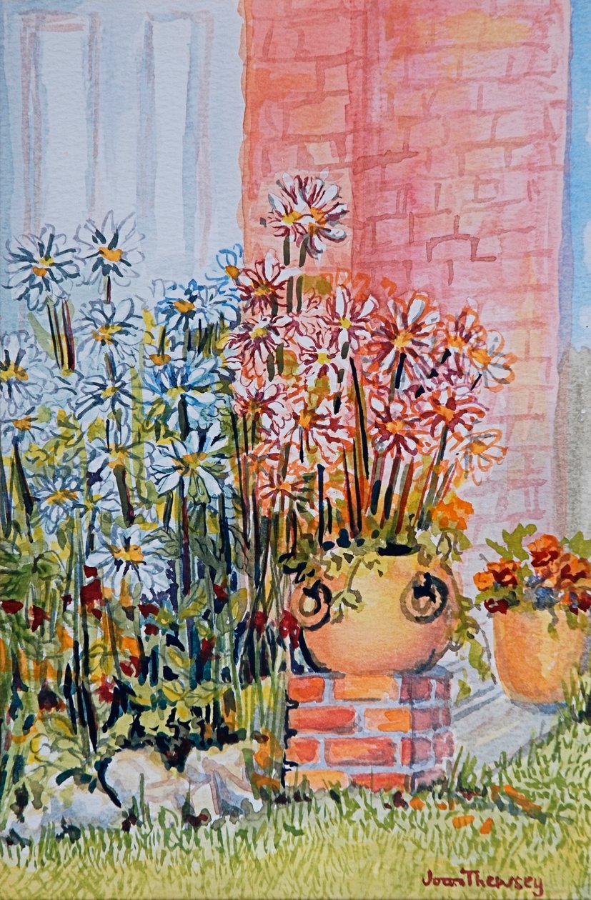 Marguerites a házikó kertjében alkotó: Joan Thewsey