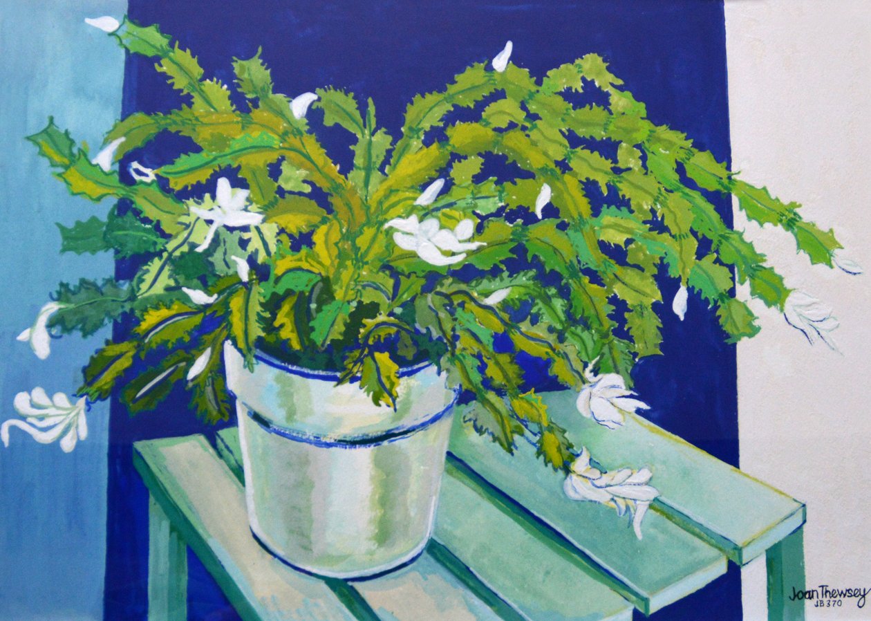 Karácsonyi kaktusz, 2000 (gouache) alkotó: Joan Thewsey