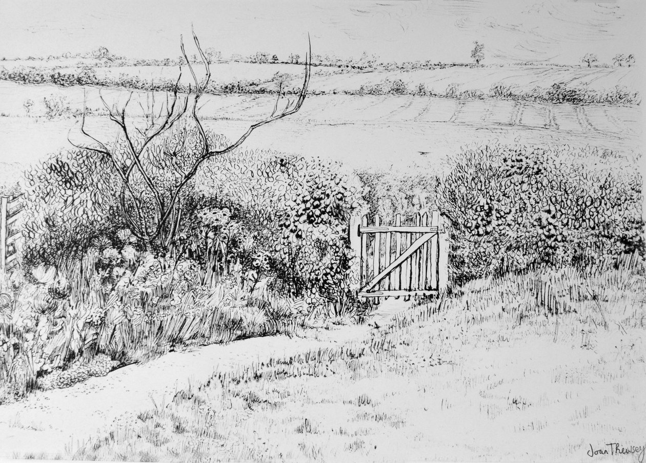 Cottage Gate and View Beyond, 2015, (toll és tinta) alkotó: Joan Thewsey
