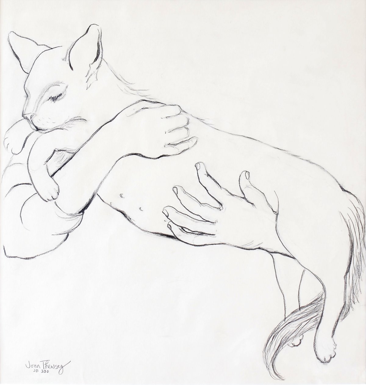 Cuddly Cat, 2000, (ceruza) alkotó: Joan Thewsey