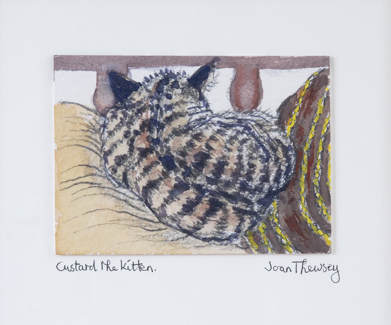 Custard the Kitten, 2005, (ceruza és akvarell) alkotó: Joan Thewsey