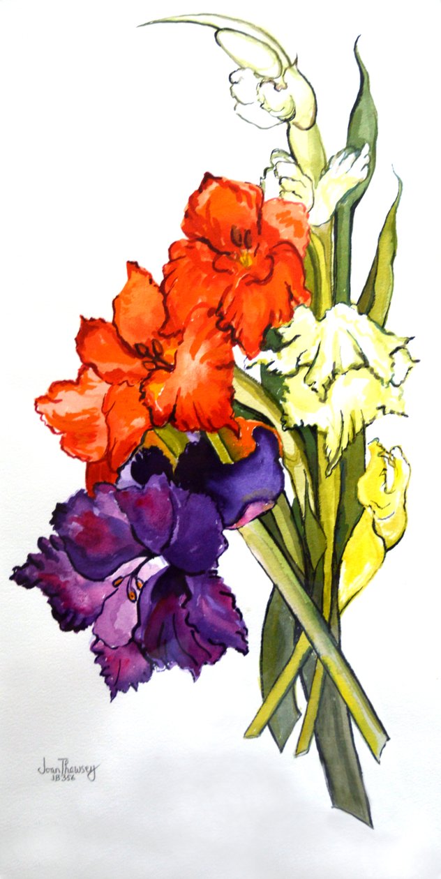 Gladioli, 2011 alkotó: Joan Thewsey