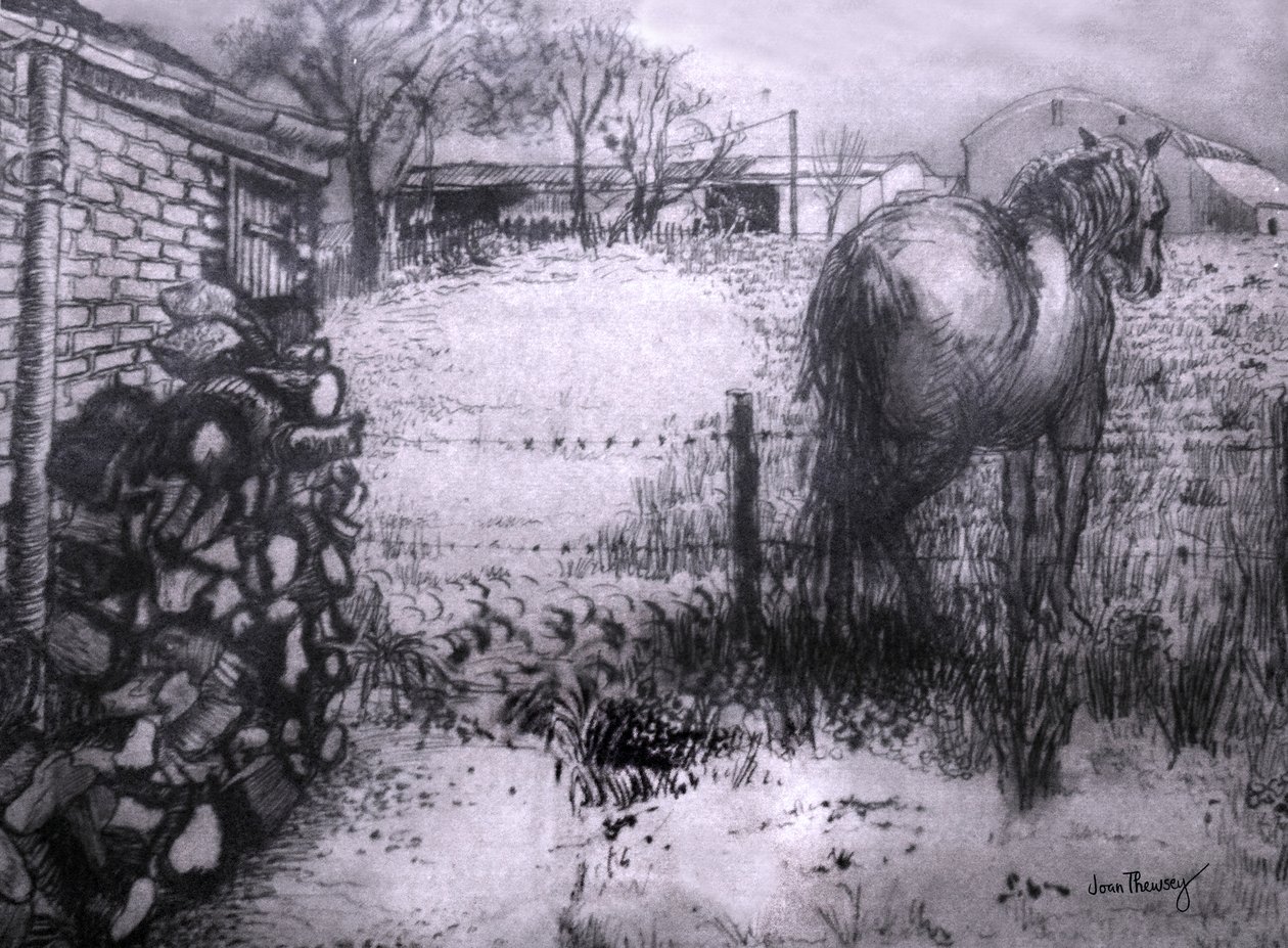 Ló pihenteti a lábát, 2000, (tinta nedves ingres papíron) alkotó: Joan Thewsey