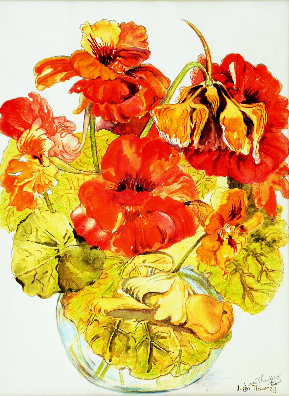 Nasturtiums, 2005, (vízfesték) alkotó: Joan Thewsey