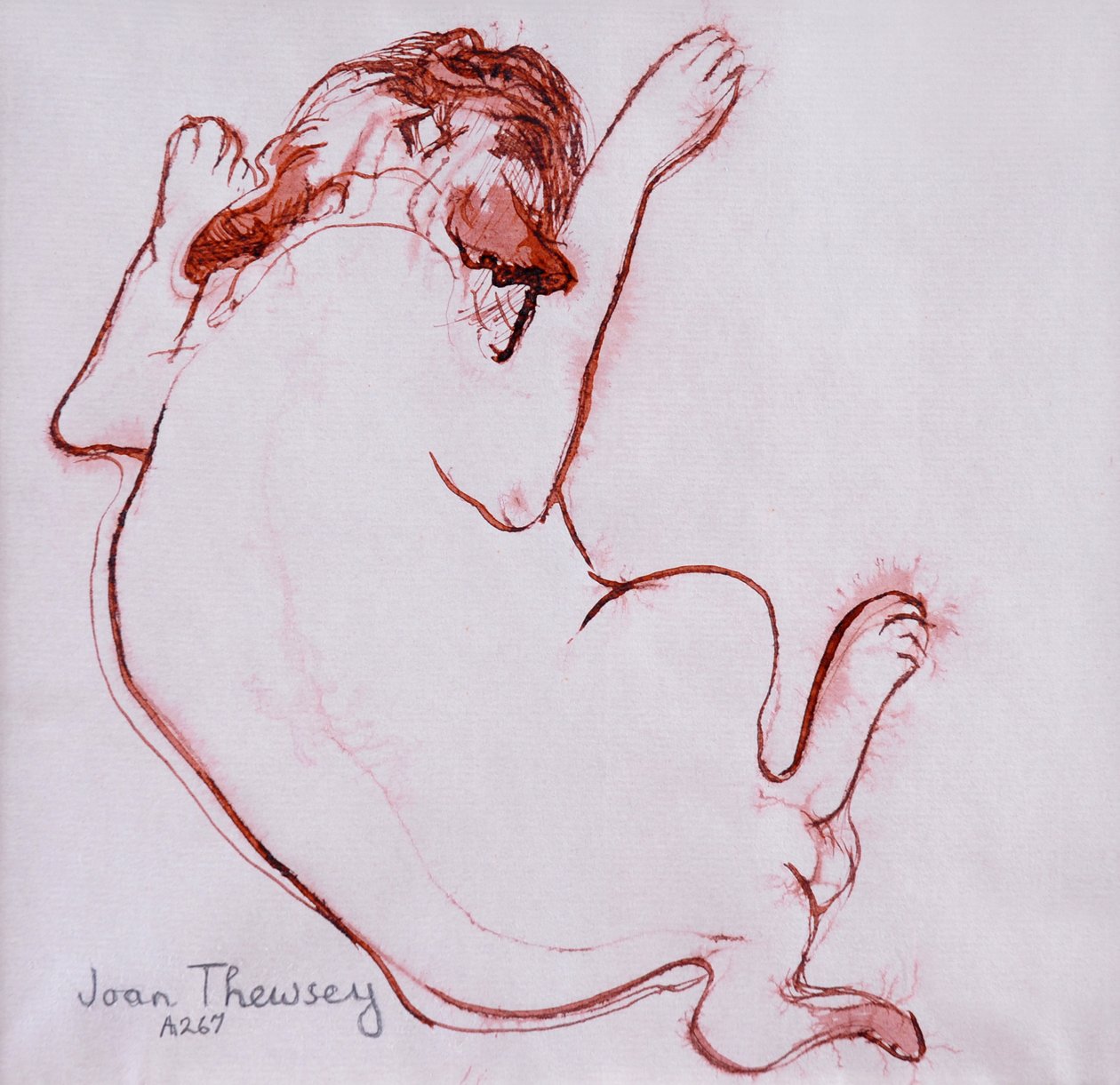 Pug Puppy 1, 2005, (Tinta nedves papíron) alkotó: Joan Thewsey