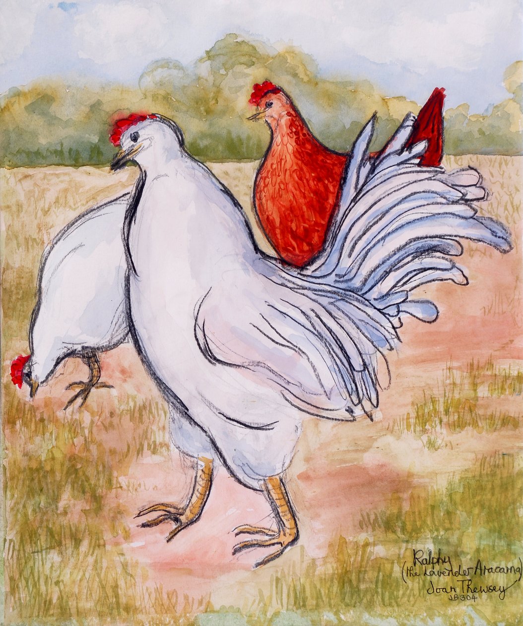 Ralfy, A kakas, 2005 (ceruza és akvarell) alkotó: Joan Thewsey