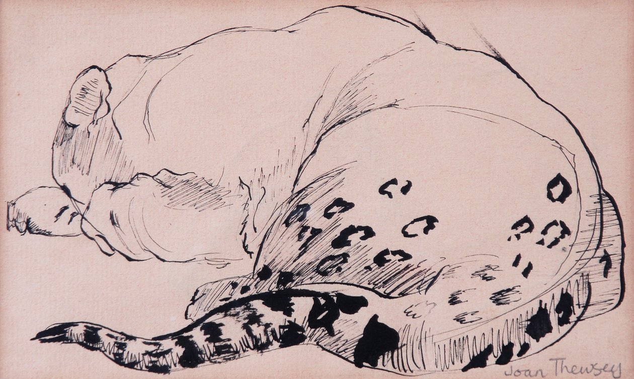 Sketch, Leopard, London Zoo 2005, (toll és tinta) alkotó: Joan Thewsey