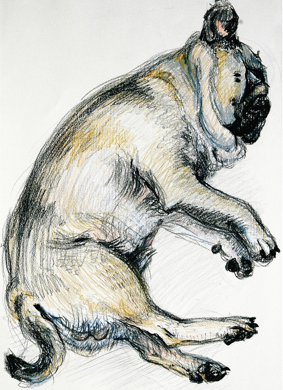 Sleeping Pug One, 2000, (olajpasztell) alkotó: Joan Thewsey