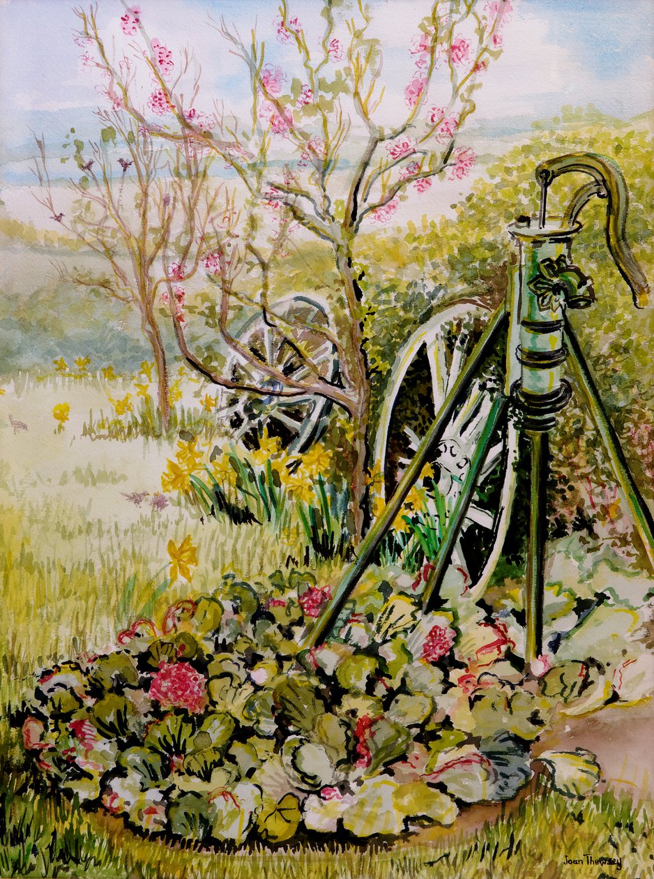 A kerti szivattyú, 2010, akvarell alkotó: Joan Thewsey