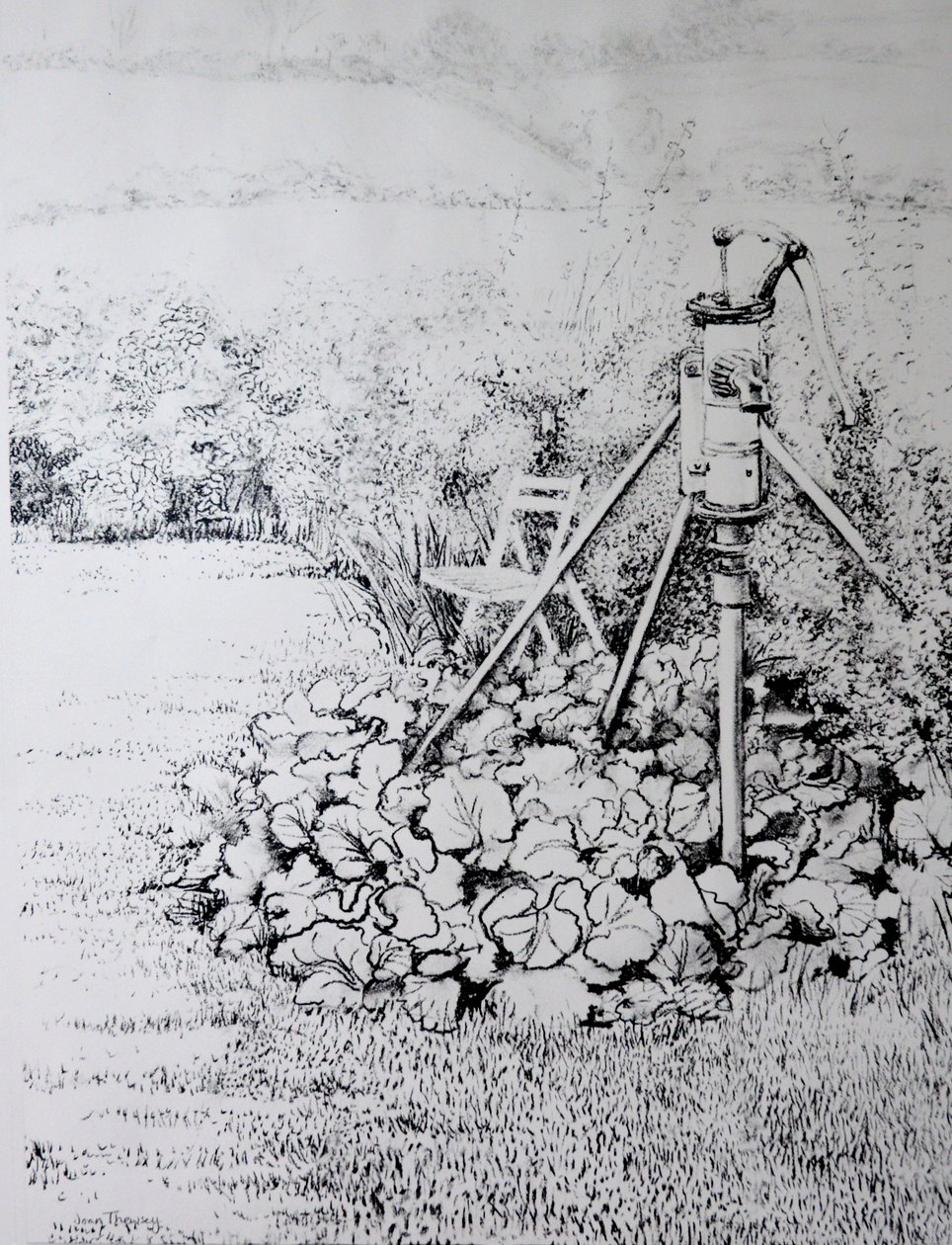 A kerti szivattyú, 1973 (szén) alkotó: Joan Thewsey