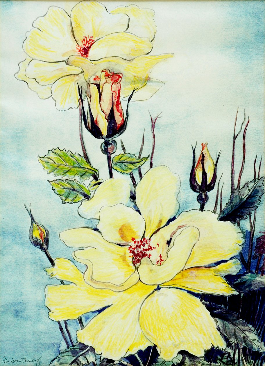 Yellow Rose in a Suffolk Breeze, 2005, (vízfesték) alkotó: Joan Thewsey