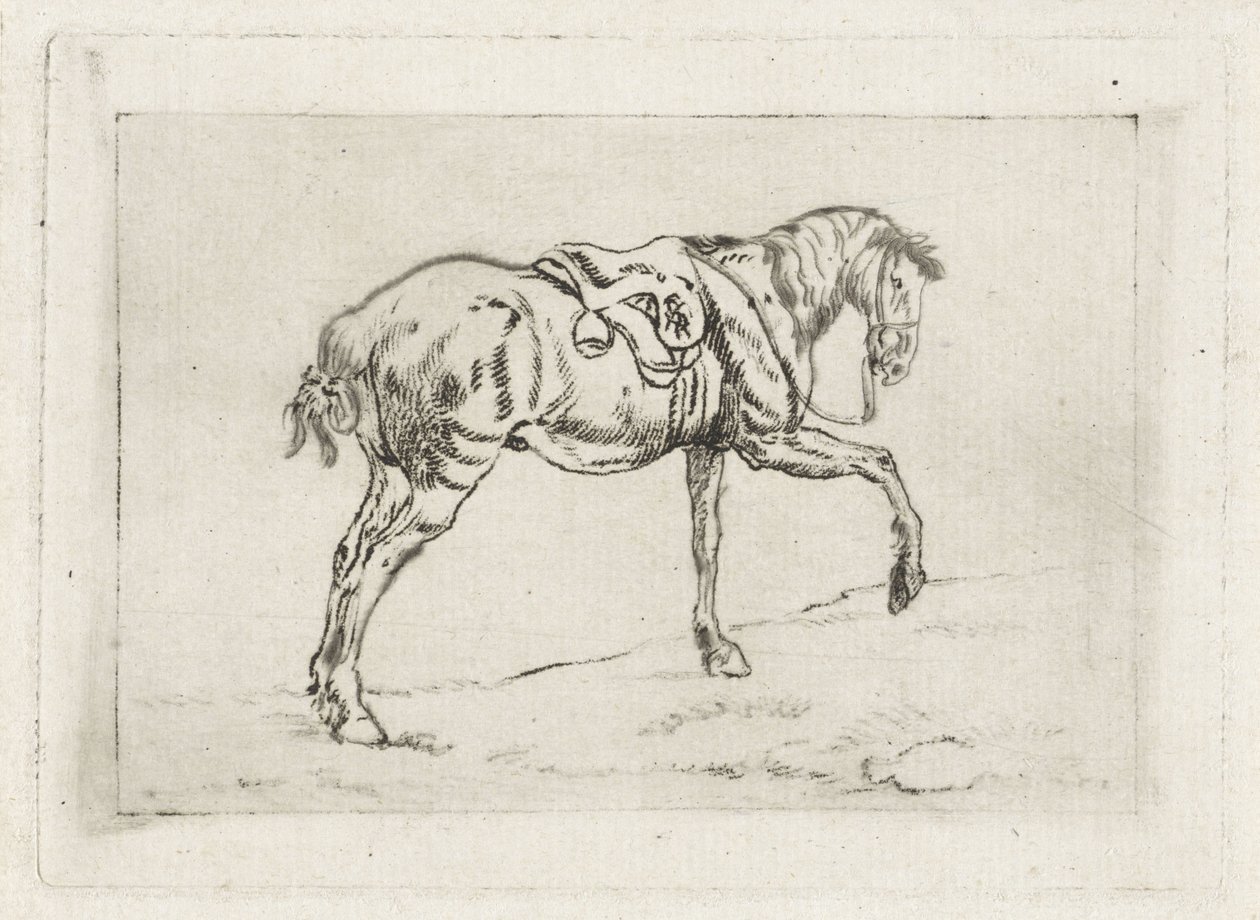 Nyerges ló alkotó: Joannes Pieter Visser Bender