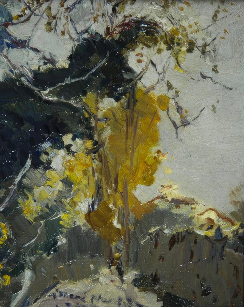 Baum alkotó: Joaquim Mir i Trinxet