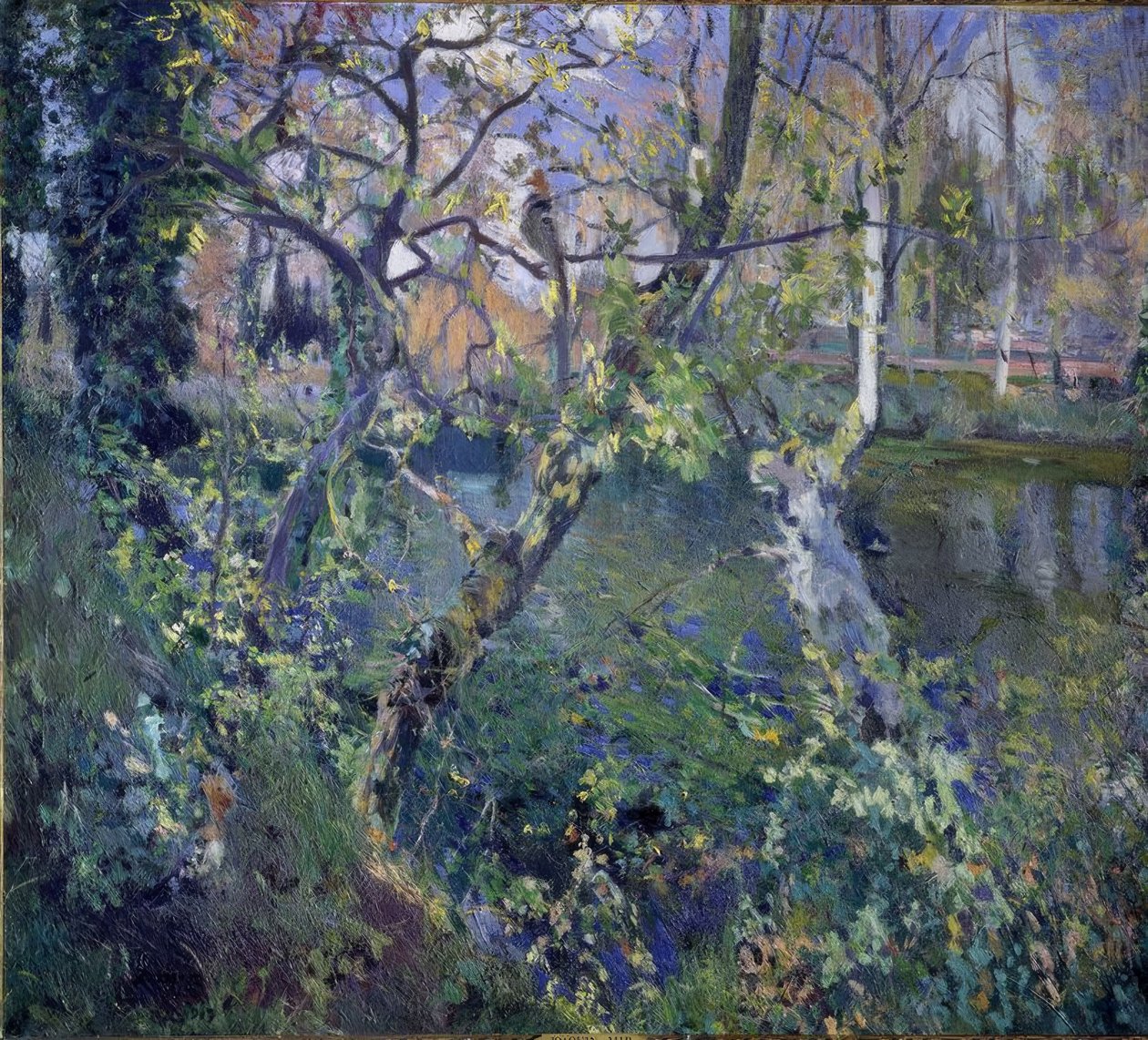 Moguda esője alkotó: Joaquim Mir i Trinxet