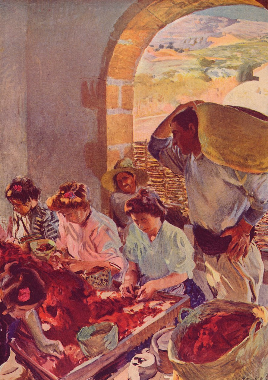 A száraz szőlő előkészítése, 1890, c1932 alkotó: Joaquín Sorolla