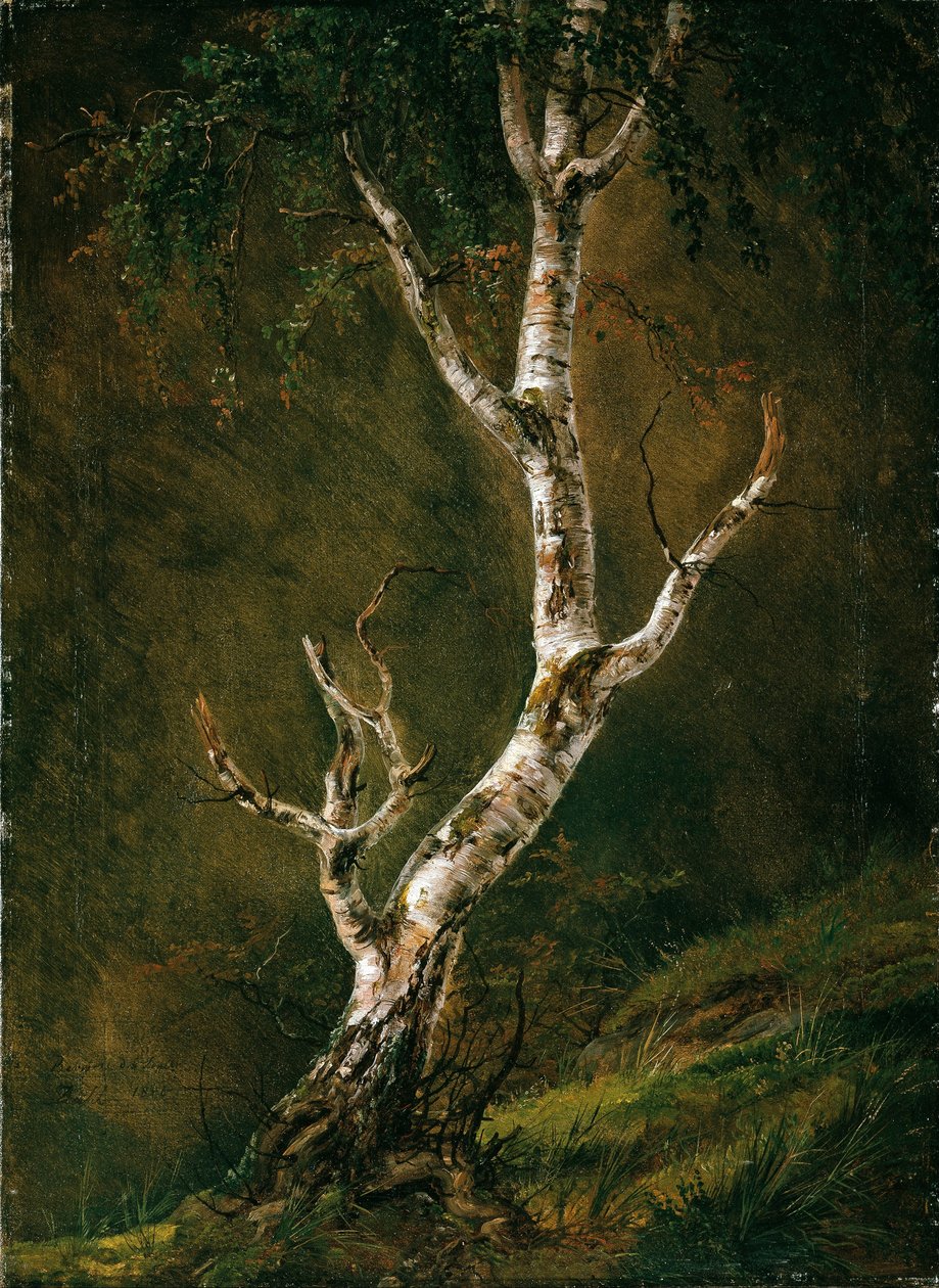 Nyírfa tanulmányozása alkotó: Johan Christian Dahl