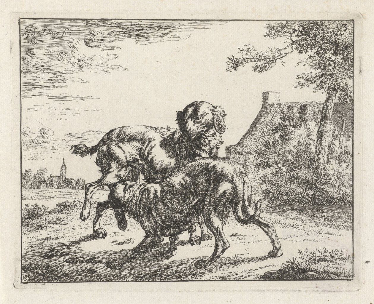 Kutya és szuka alkotó: Johan le Ducq