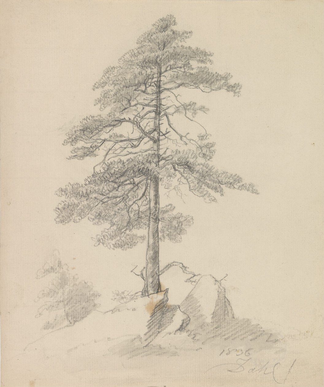 Fenyők és sziklák alkotó: Johan Christian Dahl