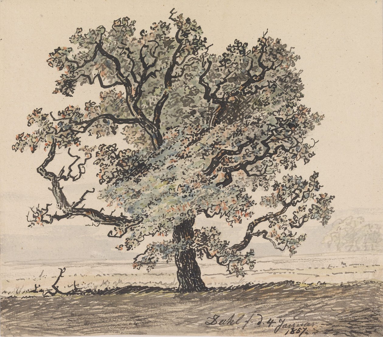 Fenyőfa a síkságon alkotó: Johan Christian Dahl