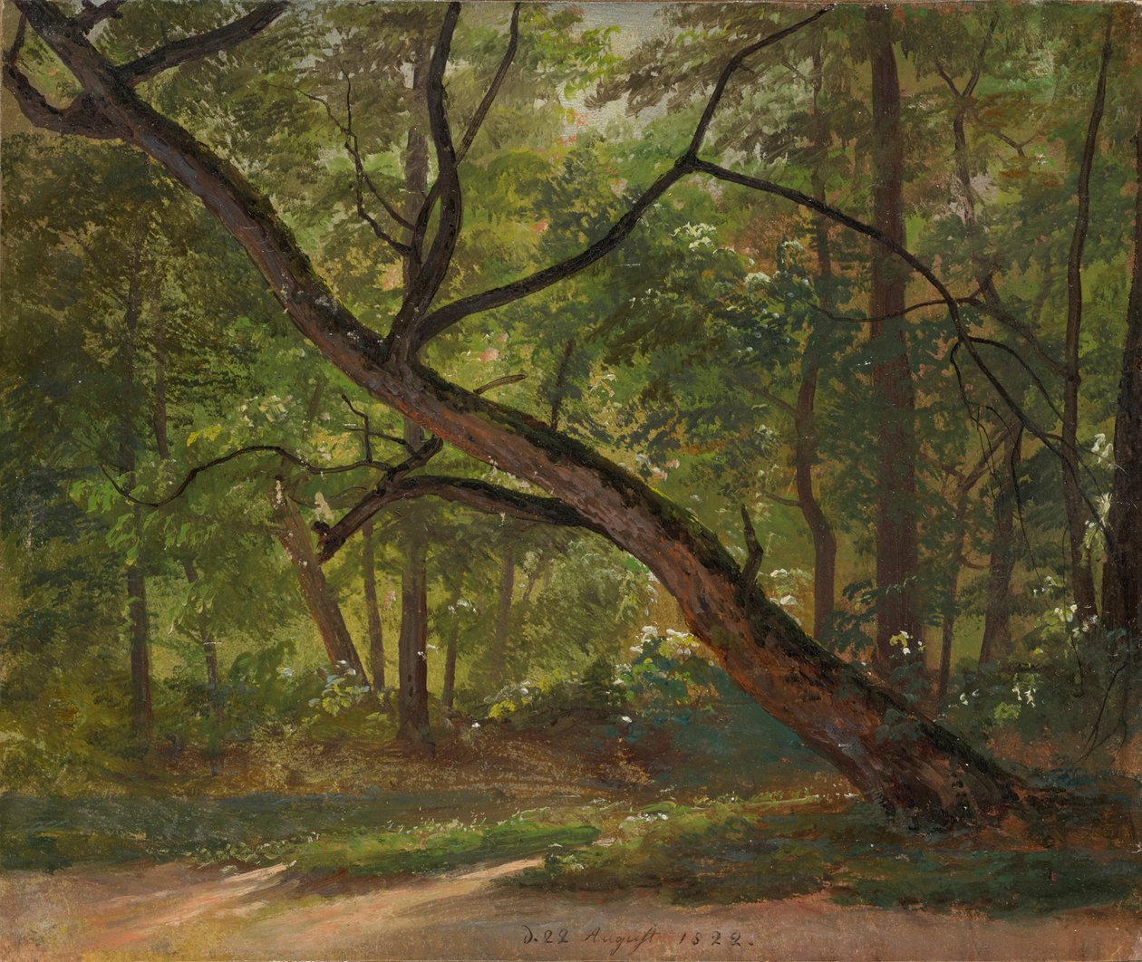 Részlet a drezdai Nagy Kertben alkotó: Johan Christian Dahl