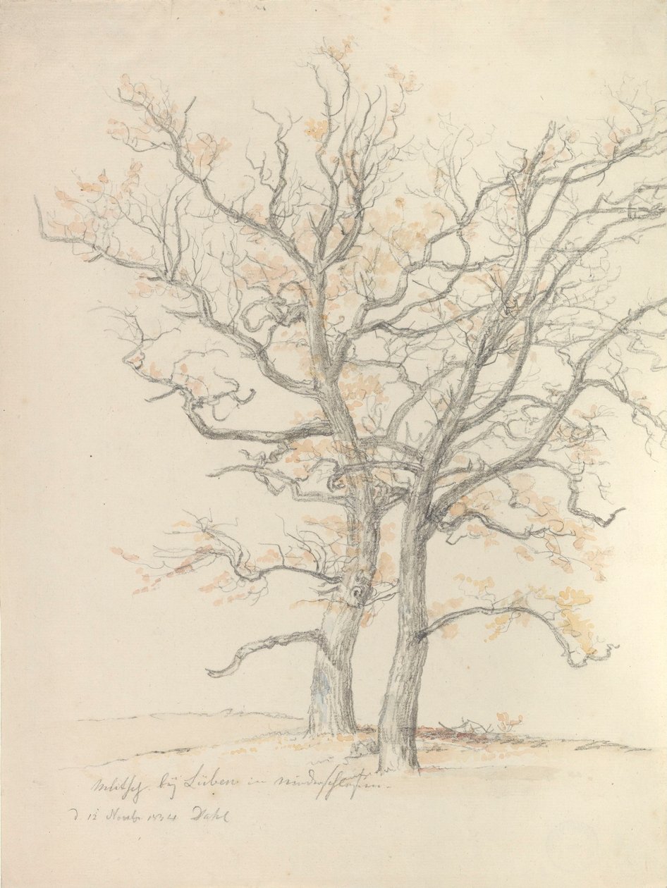 Két tölgyfa alkotó: Johan Christian Dahl