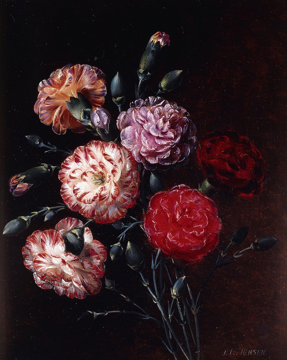 szegfű, alkotó: Johan Laurents Jensen