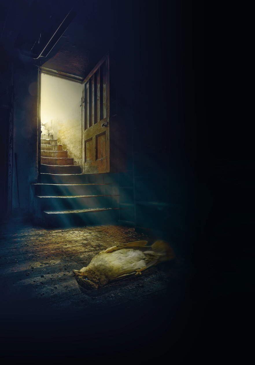 All opened the door is not freedom, 2022 (photo)   1340526   hu       hungarian Successfully Translated  Original: S.M. Linienschiff Baden Translat: S.M. Linienschiff Baden 1419870 hu hungarian Successfully Translated Original: Nationaltheater in Rom Trans alkotó: Johan Lilja