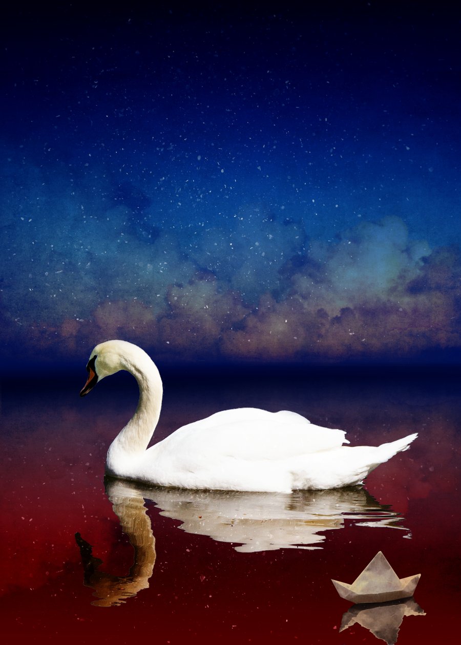 Bird Kingdom 4, 2018 (digitális fotóművészet) alkotó: Johan Lilja