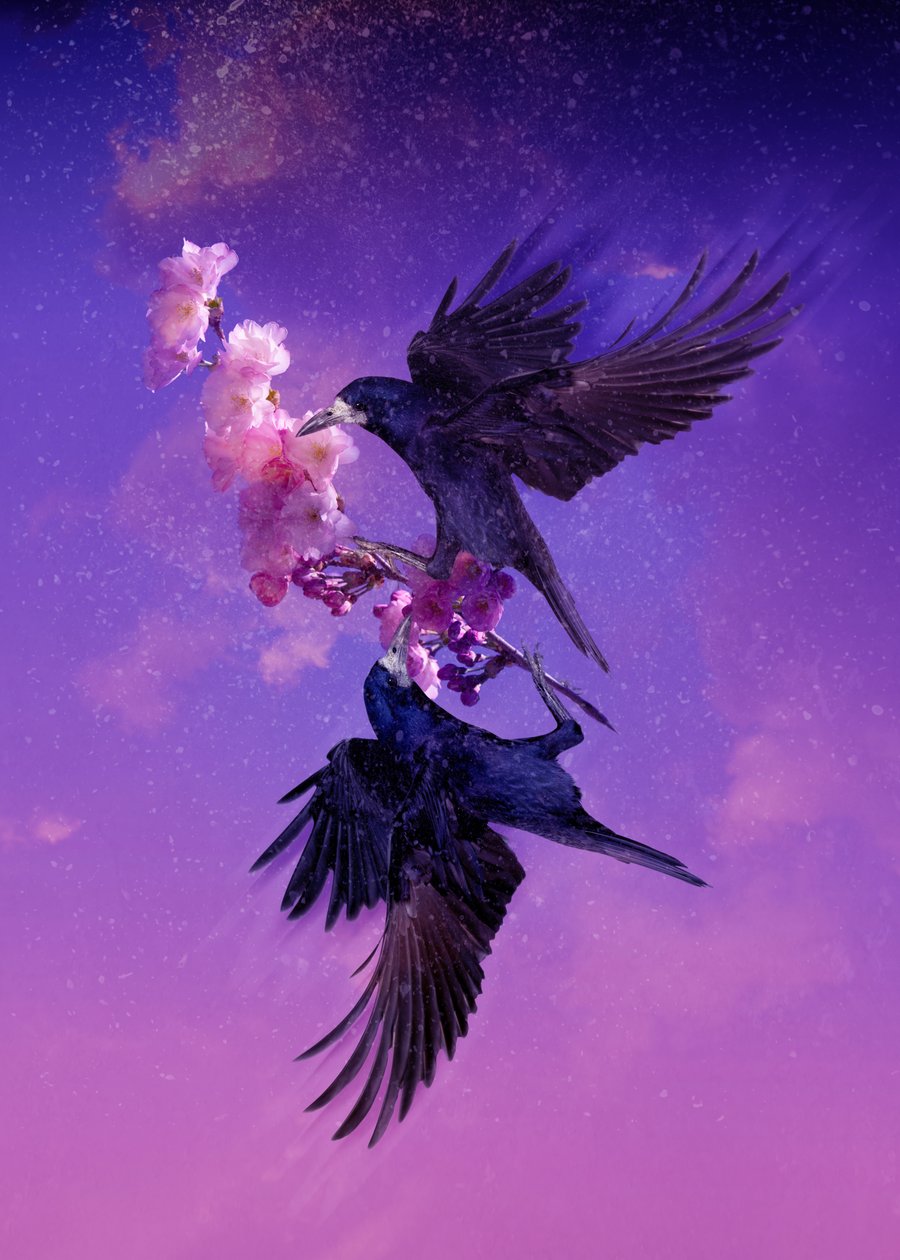 Bird Kingdom 5, 2018 (digitális fotóművészet) alkotó: Johan Lilja