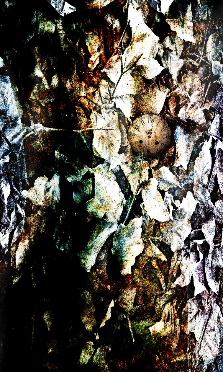 Szív, 2012 (képmanipuláció) alkotó: Johan Lilja