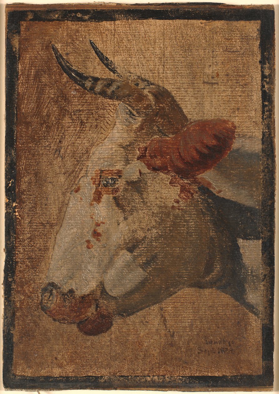 Fehér foltos tehén feje, profilja balra alkotó: Johan Thomas Lundbye