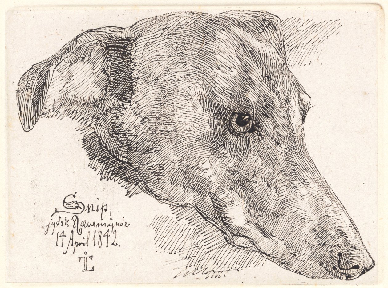 Hundehoved, Snip alkotó: Johan Thomas Lundbye