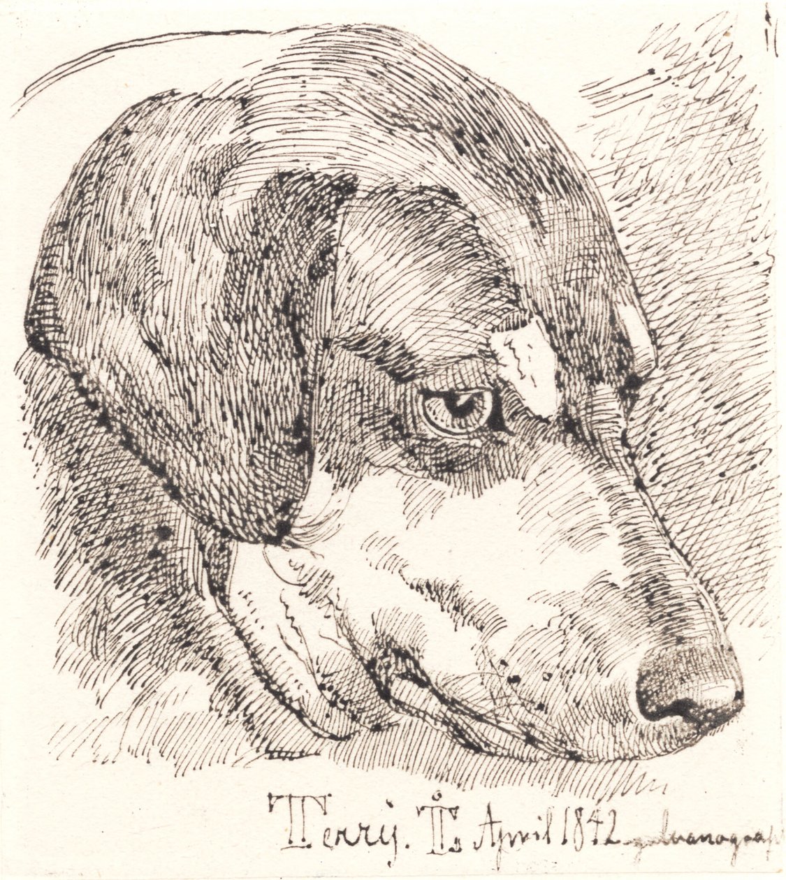 Hundehoved, Terry alkotó: Johan Thomas Lundbye