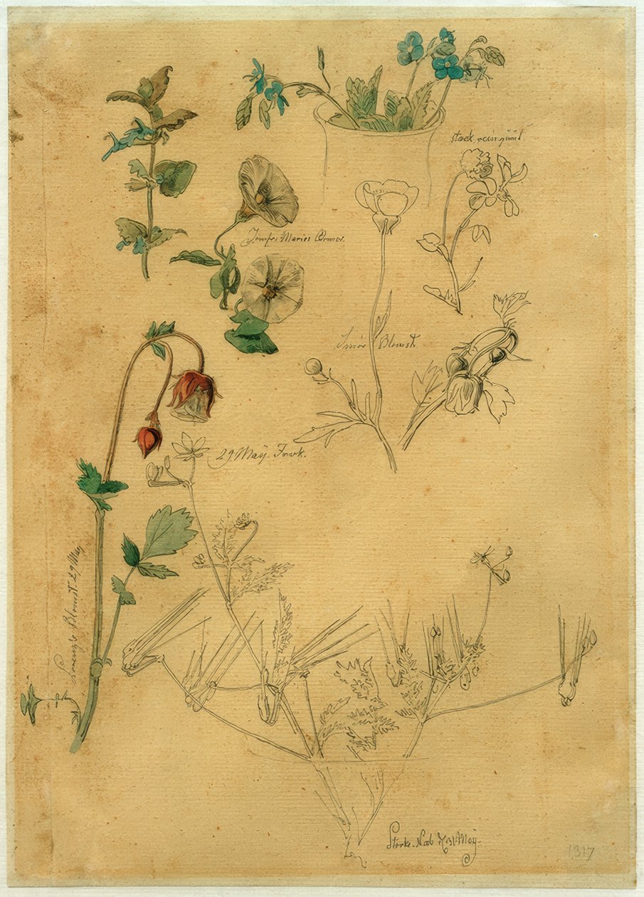 J. Th. Lundbye, Plant Study alkotó: Johan Thomas Lundbye