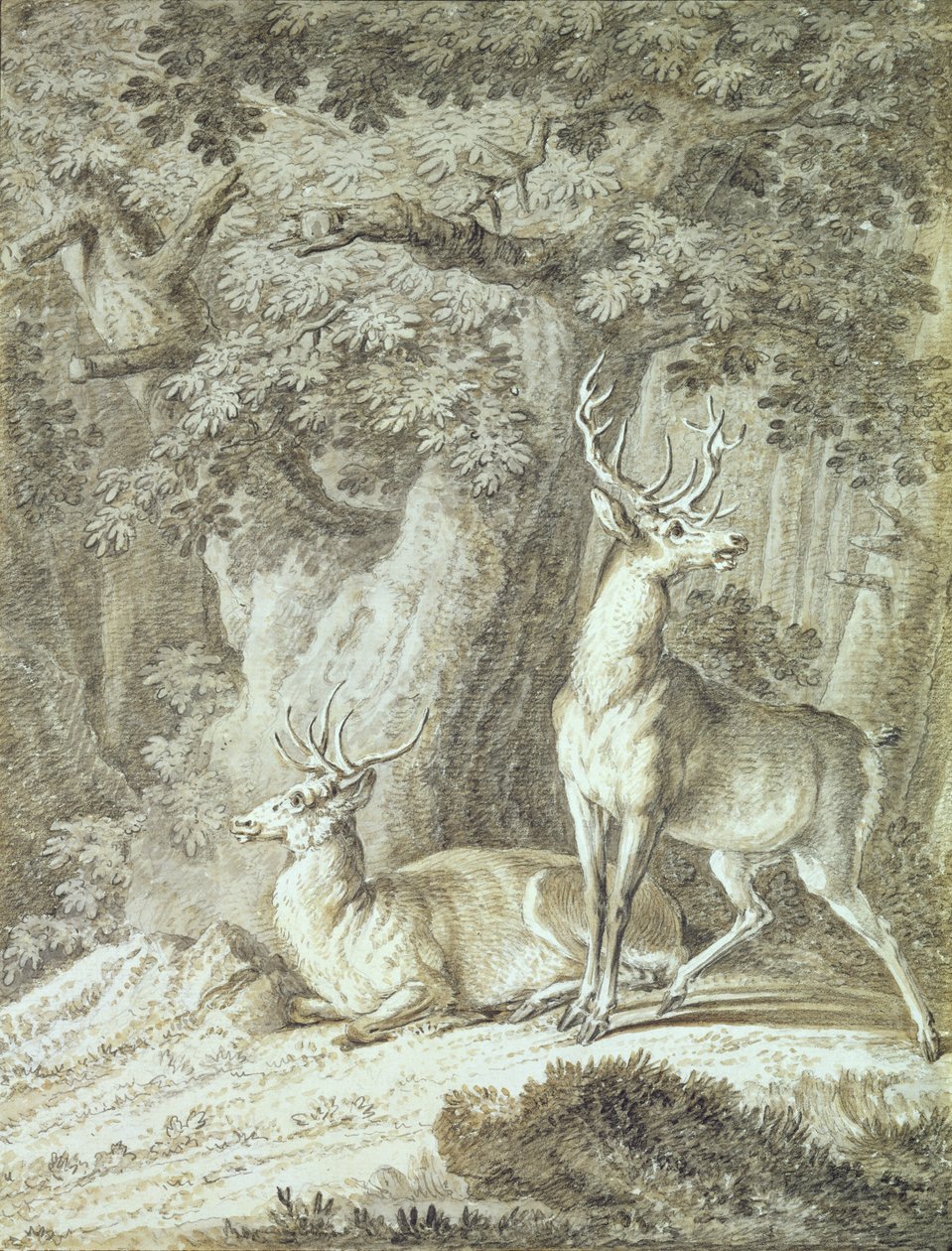 Két szarvas (zsírkréta, papír) alkotó: Johann Elias Ridinger or Riedinger
