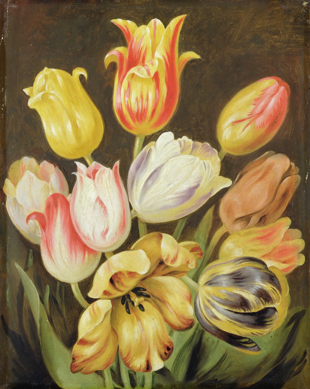 Virágtanulmány alkotó: Johann Friedrich August Tischbein